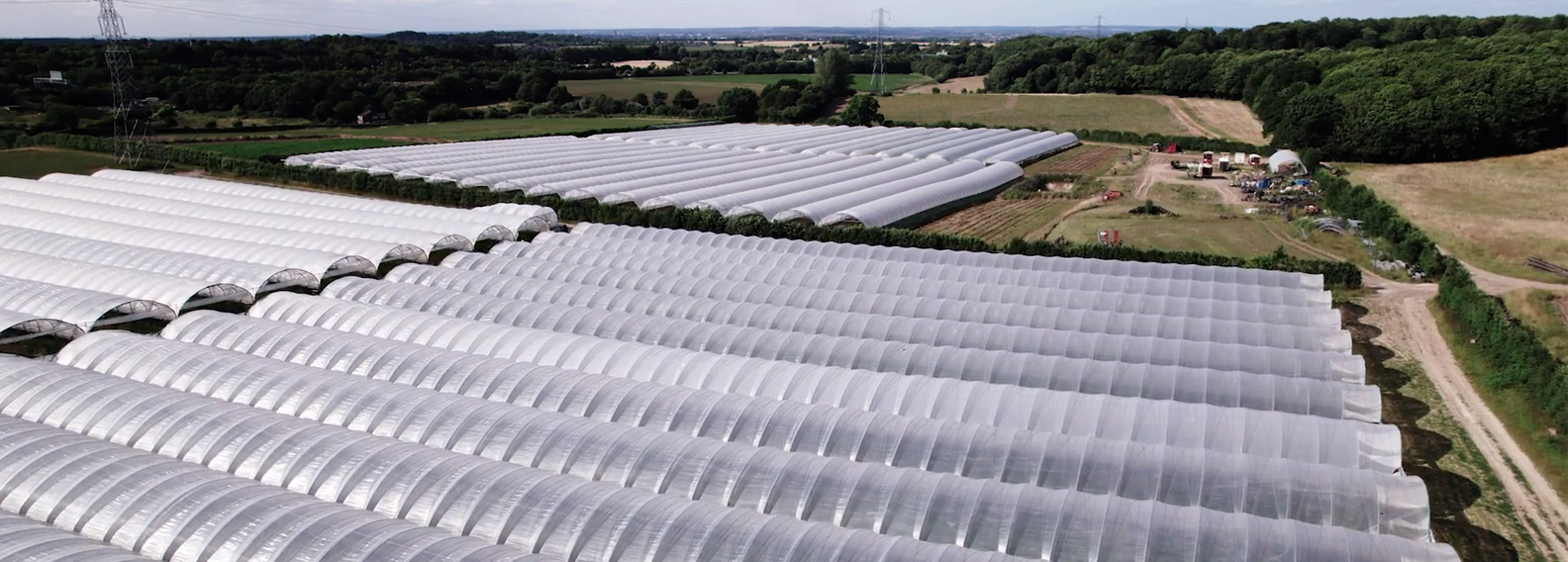 Sodexo Denmark A/S (Middelfart)